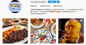 Social media food influencers