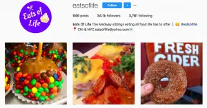 Food influencers social media
