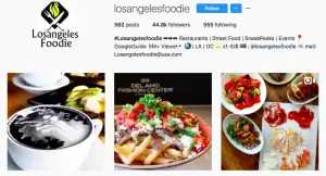 Food influencers on social media social media