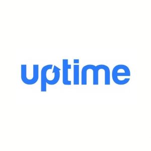 Website Uptime Monitoring Service Tool