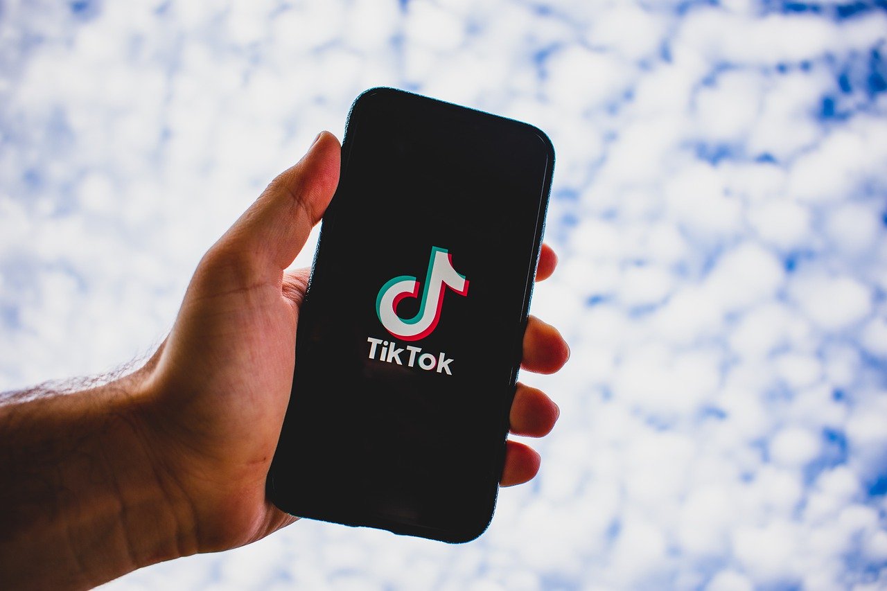 Trollishly: Notable Ideas To Make Trending Videos For TikTok
